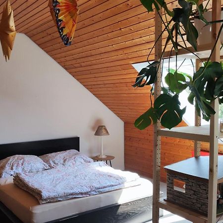 Big Cozy Entire Family Appartment Hannover Buitenkant foto