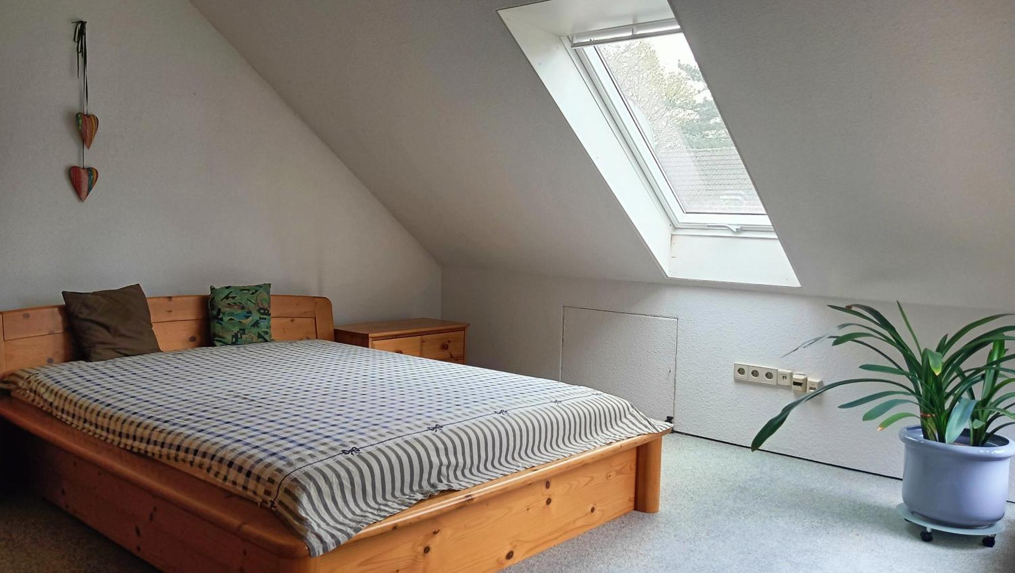 Big Cozy Entire Family Appartment Hannover Buitenkant foto