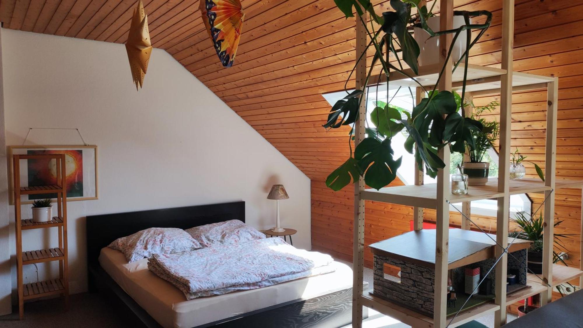 Big Cozy Entire Family Appartment Hannover Buitenkant foto