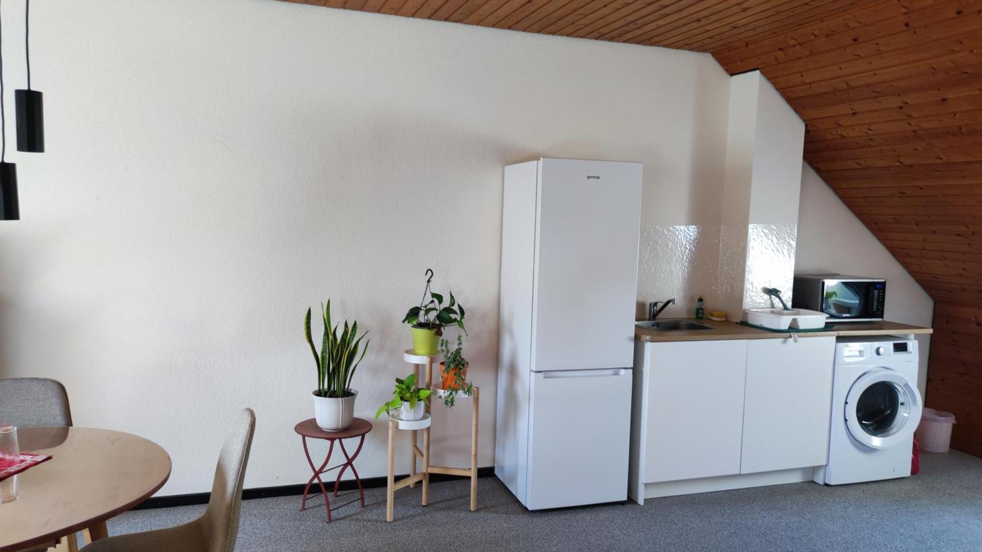 Big Cozy Entire Family Appartment Hannover Buitenkant foto